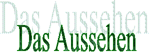 Das Aussehen